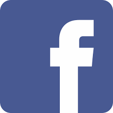 icone facebook