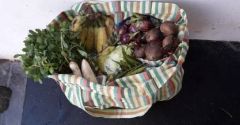 BT 54 Sac l gumes BT 54 Sac l gumes